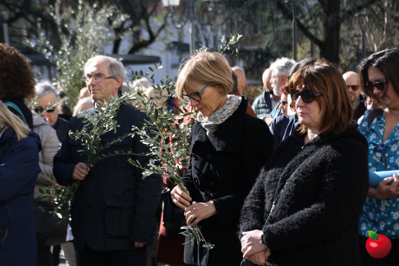 domenicapalmelecco__9_.jpg (344 KB)