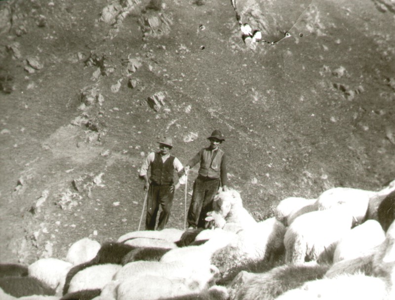 cioche.jpg (115 KB)