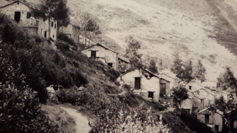 foto_vecchia_2.jpg (84 KB)
