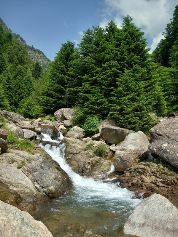 Torrente_5.jpg (187 KB)