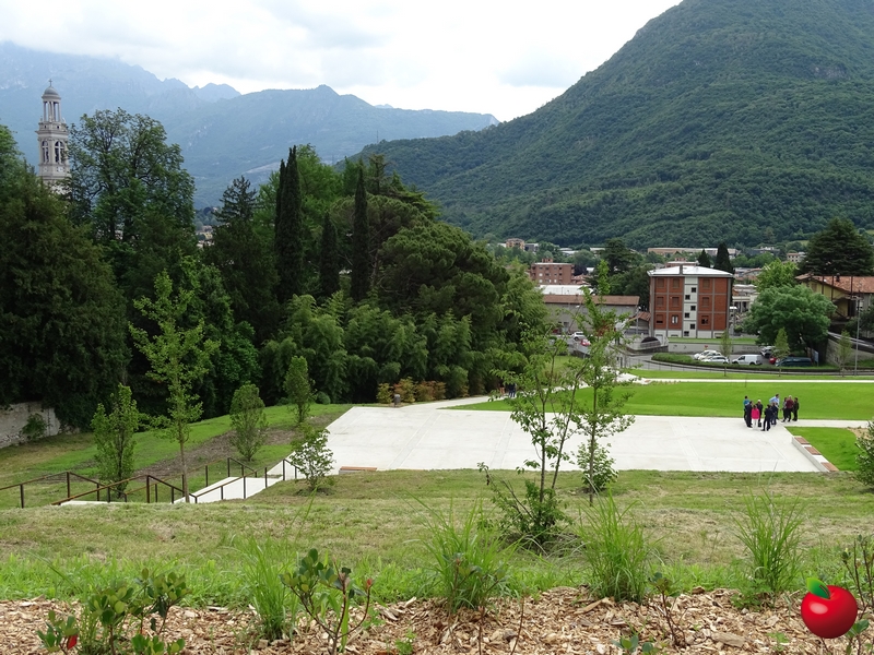 DSC08126.jpg (463 KB)