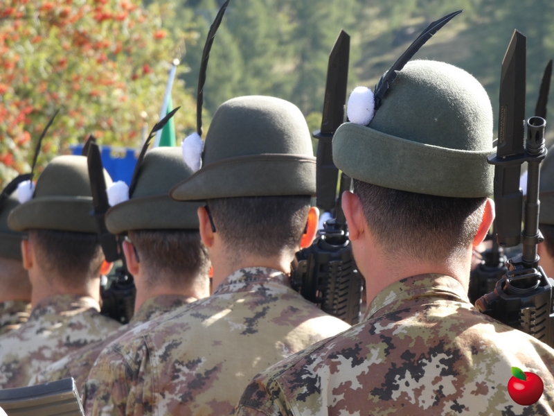 alpinibetulle2025__57_.jpg (377 KB)