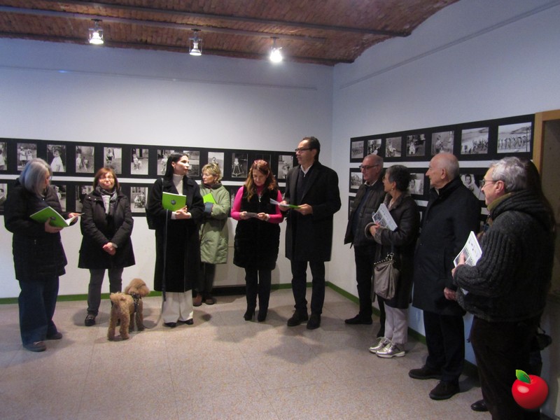 IMG_3408.jpg (135 KB)