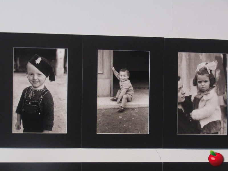 IMG_3441.jpg (102 KB)