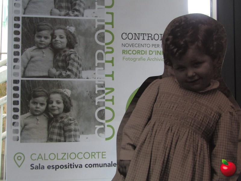 IMG_3445.jpg (122 KB)