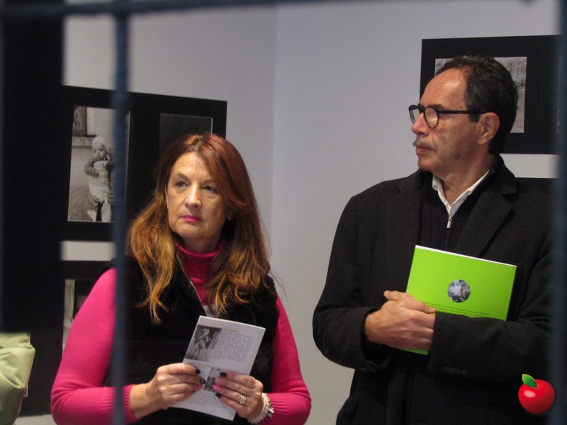 IMG_3453.jpg (111 KB)