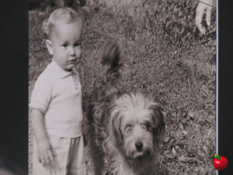 IMG_3463.jpg (128 KB)