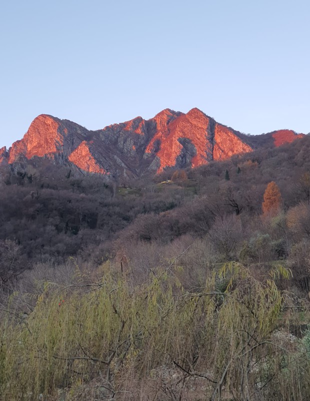 WhatsApp Image 2025-12-15 at 16.41.03  2 .