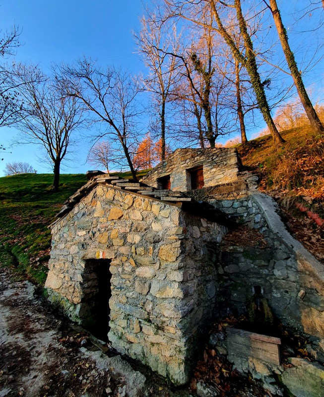 WhatsApp Image 2025-12-15 at 16.41.03  3 .