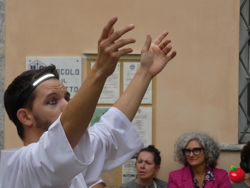 festacortigarlate2025  11