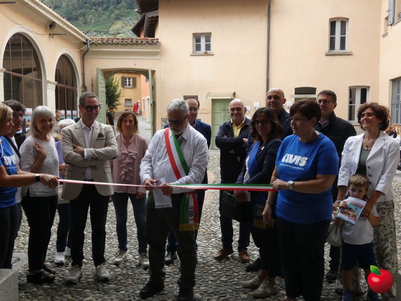 festacortigarlate2025  12