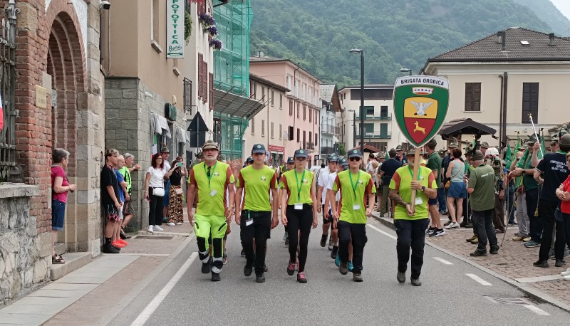 alpinichiusuracampo__2_.jpg (220 KB)