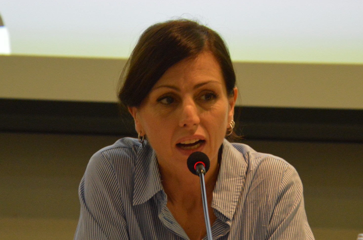 01_Federica_Maspero__1_.JPG (622 KB)