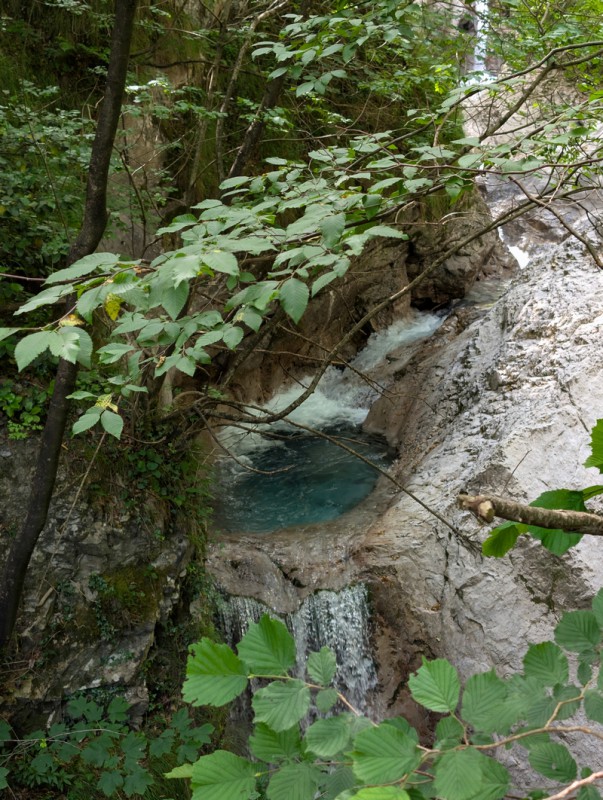 PXL_20250615_081818150.jpg (179 KB)