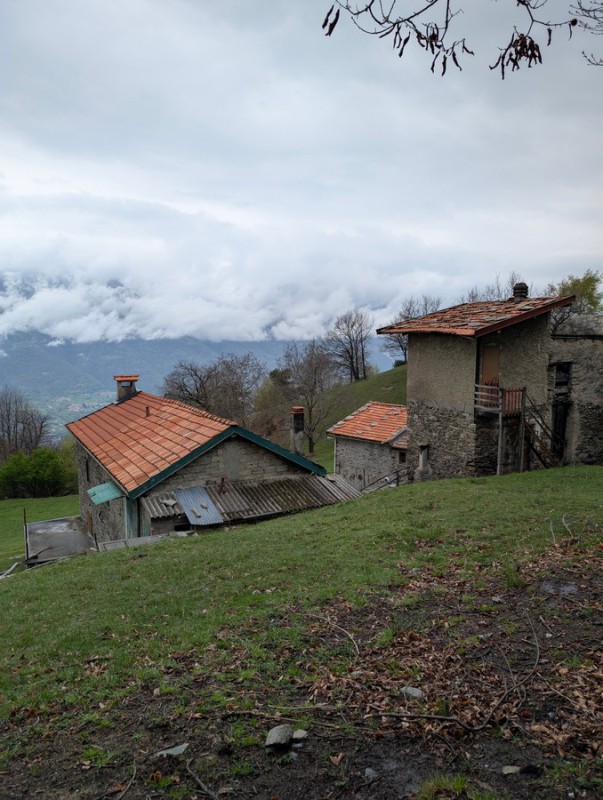 setterubricaup70009.jpg (124 KB)
