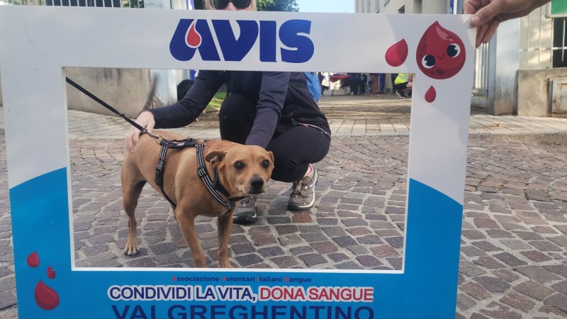 WhatsApp_Image_2025-09-14_at_13.50.52.jpeg (97 KB)