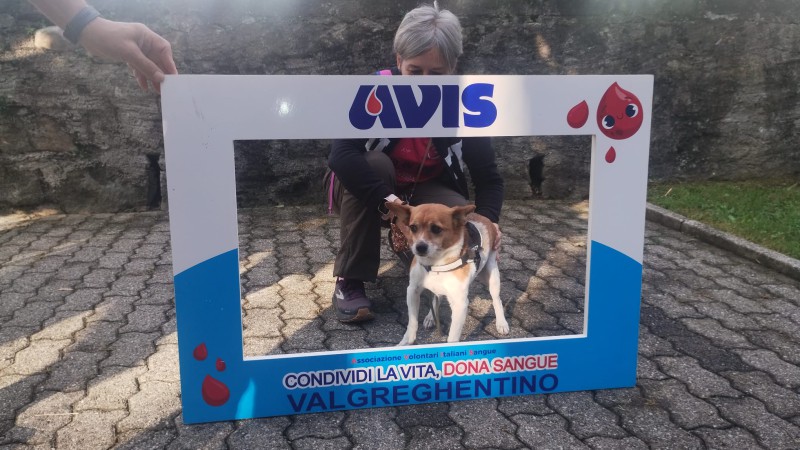 WhatsApp Image 2025-09-14 at 13.50.52  1 .