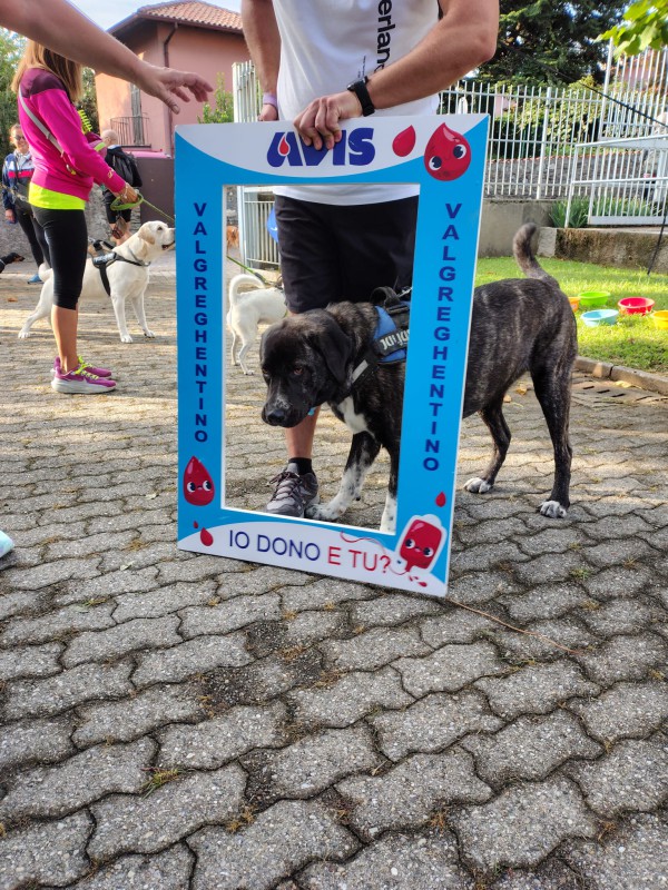 WhatsApp Image 2025-09-14 at 13.50.52  2 .