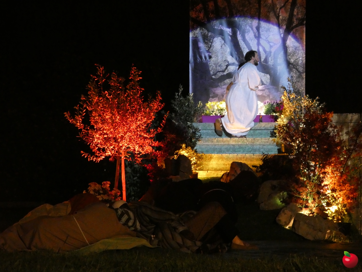 calolziopassione__34_.jpg (748 KB)