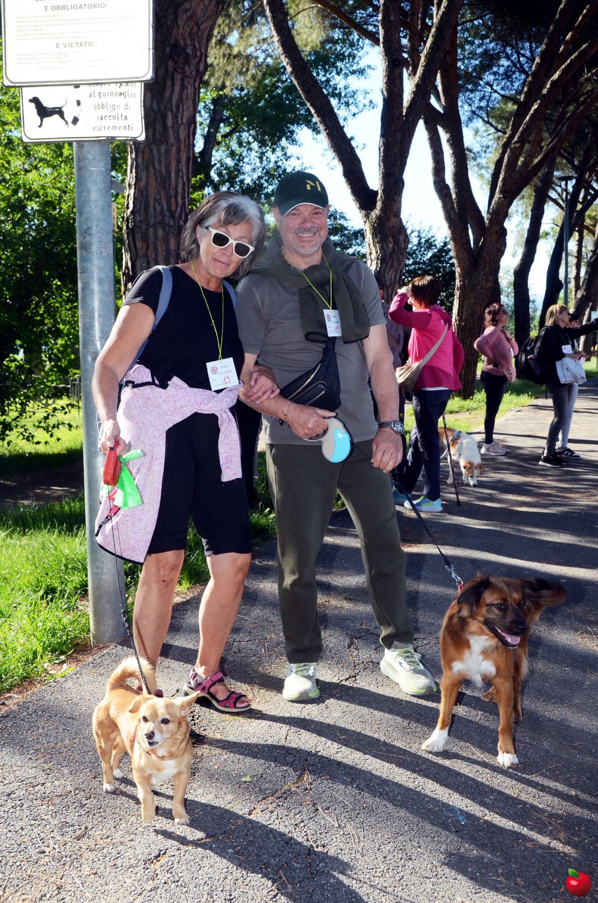 PASSEGGIATA A 6 ZAMPE 1