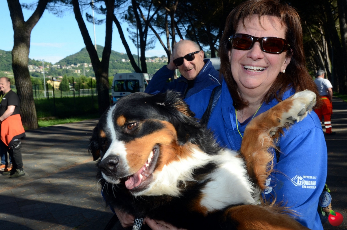 PASSEGGIATA_A_6_ZAMPE_3.jpg (671 KB)
