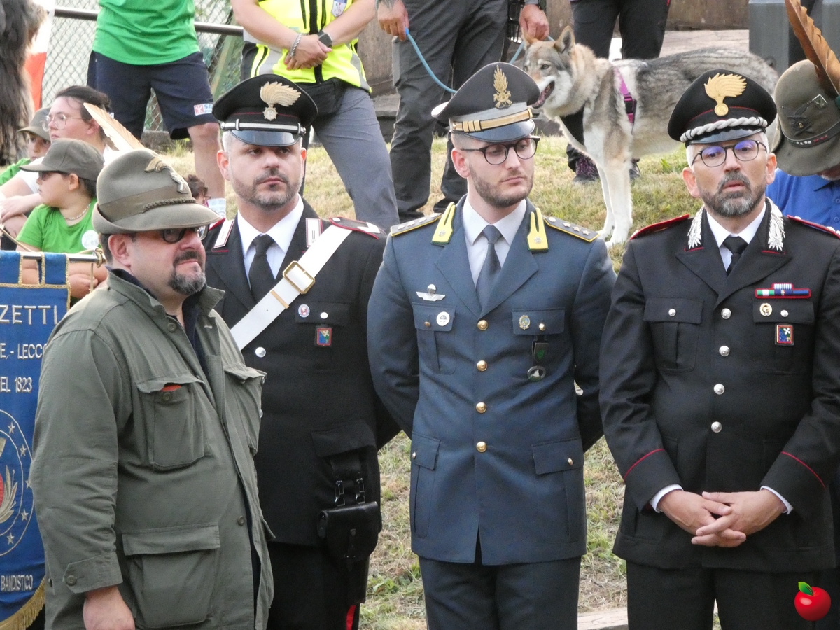 carennotaleafalcone__34_.jpg (835 KB)