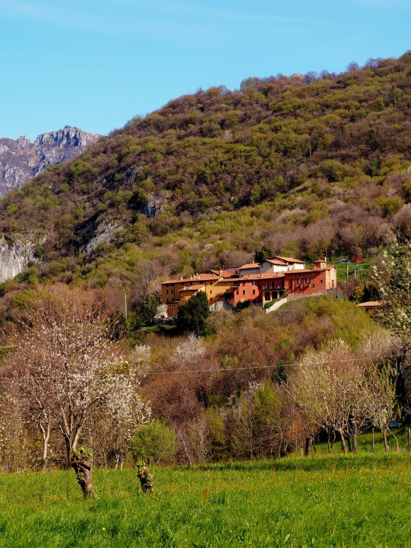 WhatsApp Image 2026-04-01 at 10.20.06  1 .