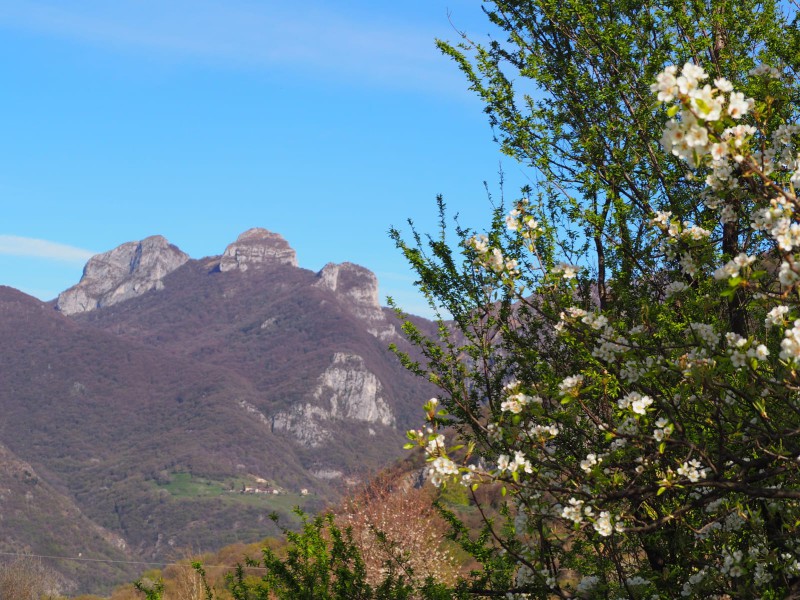 WhatsApp_Image_2026-04-01_at_10.20.06__6_.jpeg (159 KB)