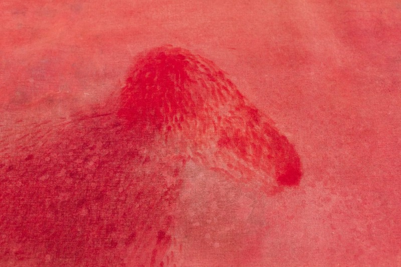galbiatemostra__18_.jpg (110 KB)