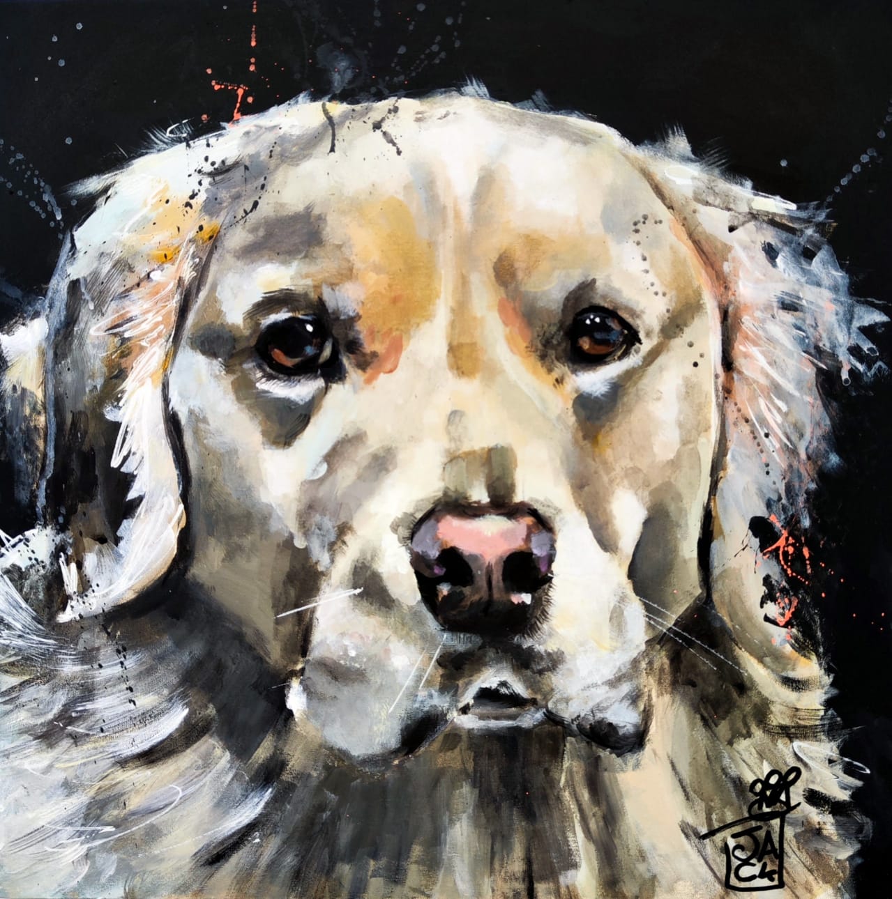 WhatsApp Image 2026-03-16 at 13.47.50  2 .