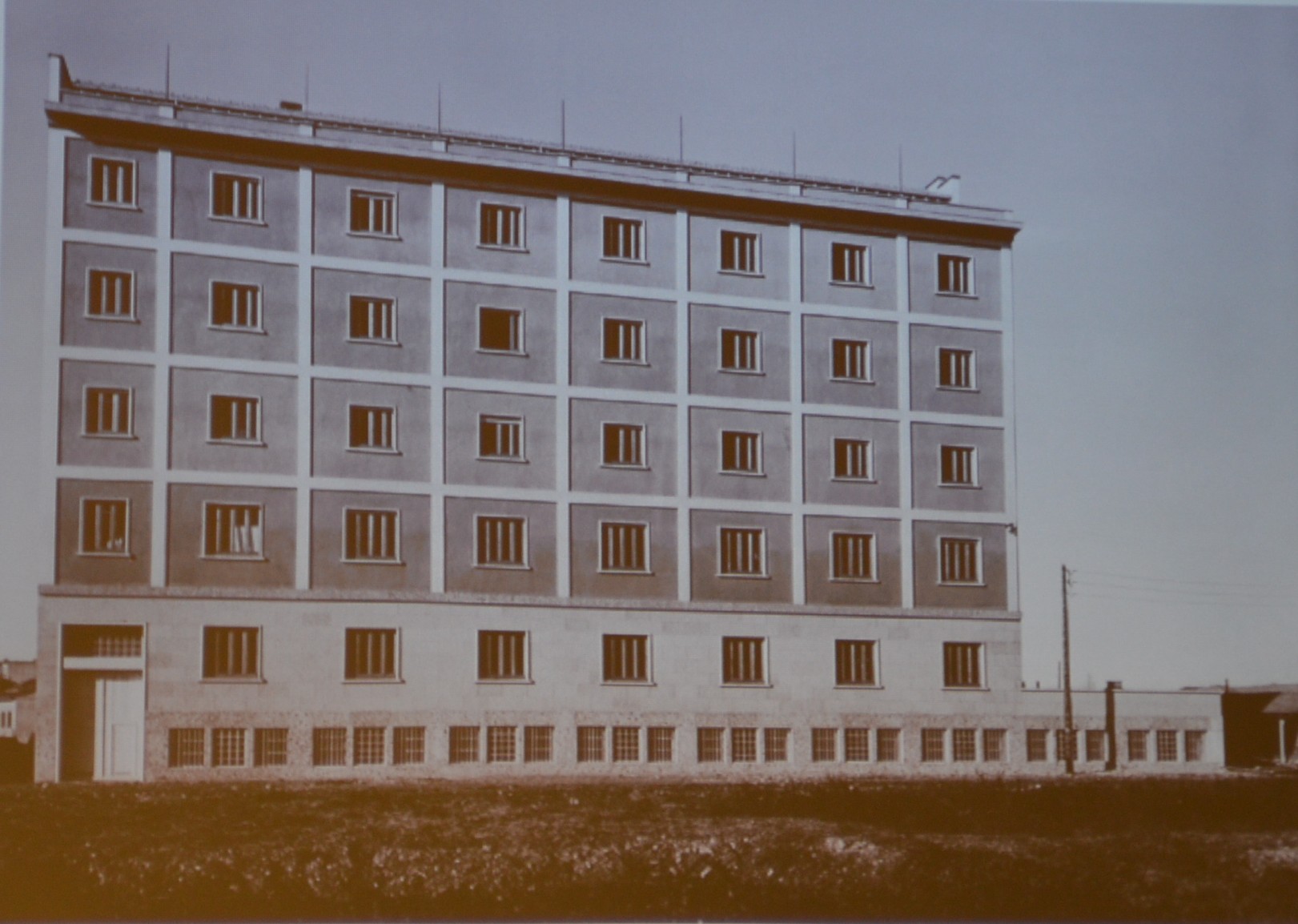 La_Scuola_Beato_Angelico__1_.JPG (265 KB)