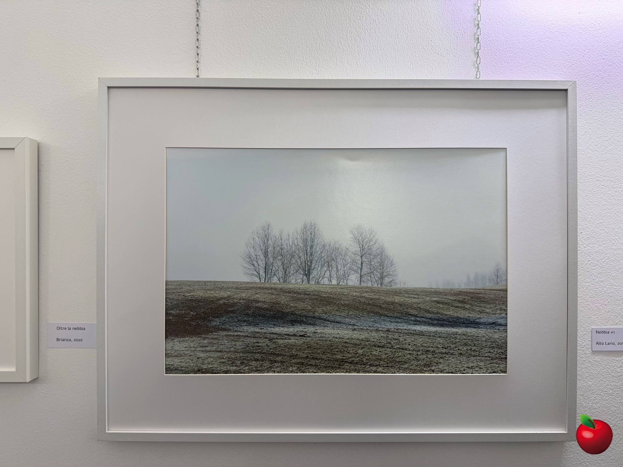 IMG_2267.jpg (778 KB)