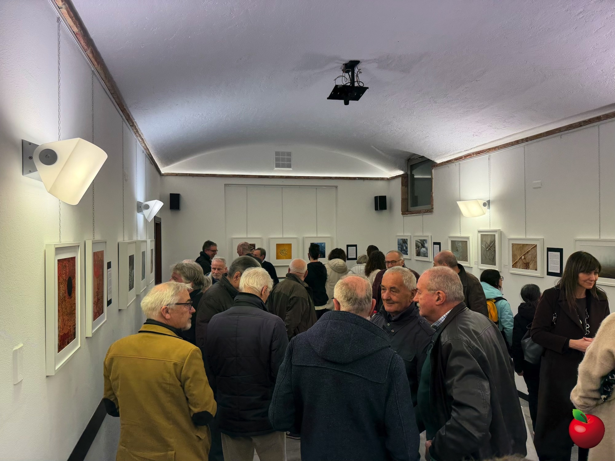 IMG_2271.jpg (793 KB)