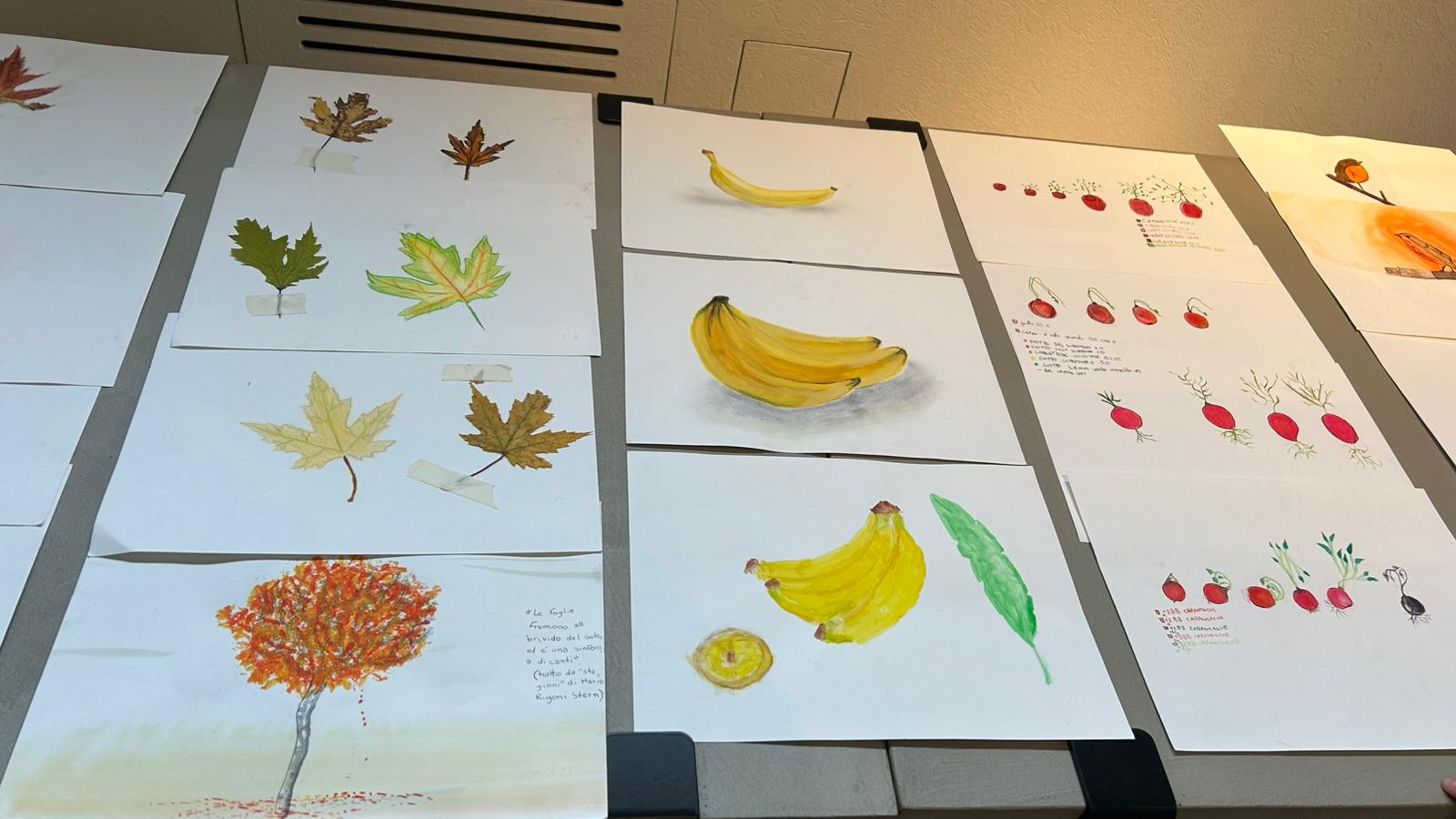 mostraima__23_.jpeg (131 KB)