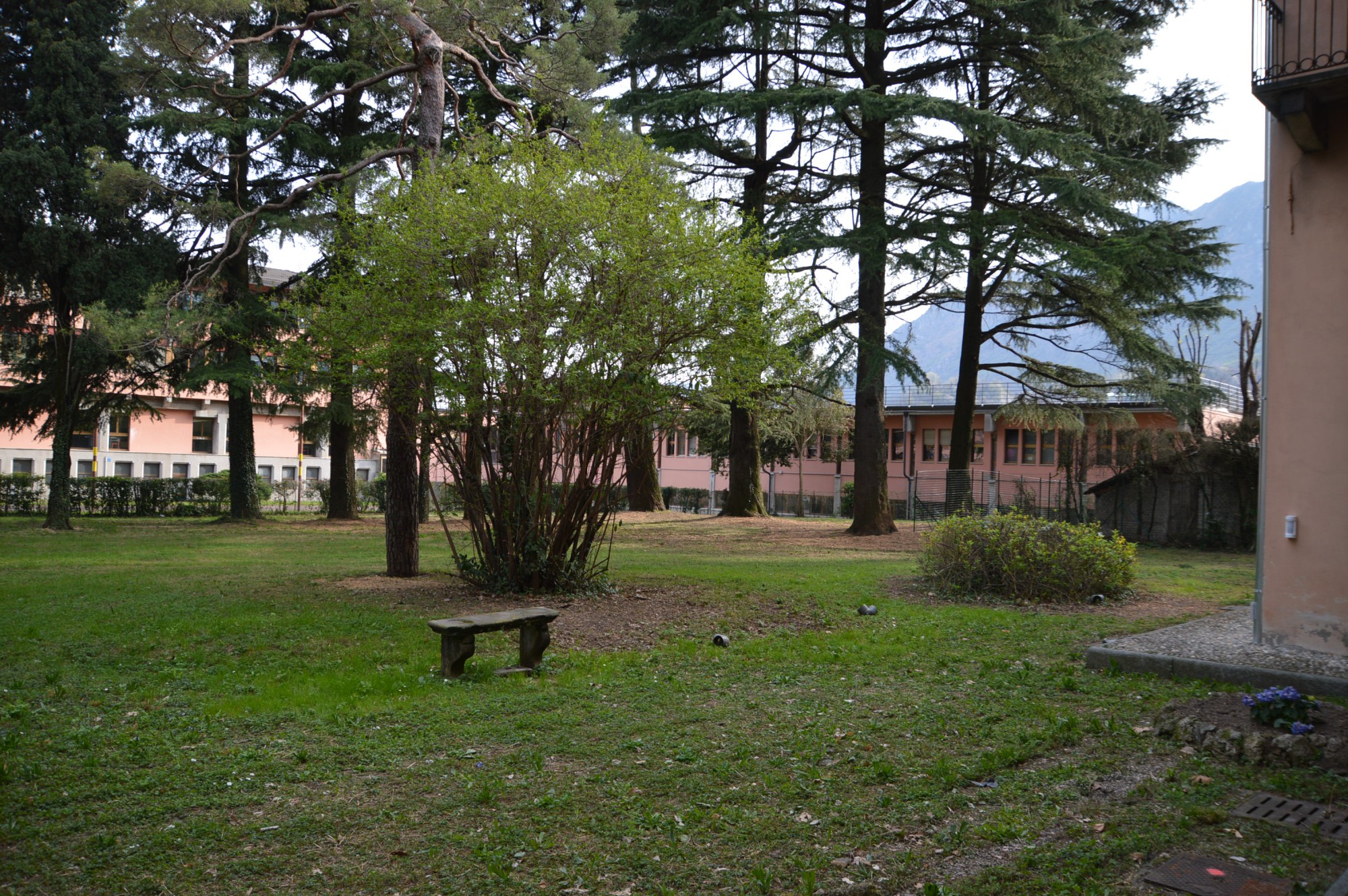 riaperturavillamanzoni__9_.JPG (880 KB)