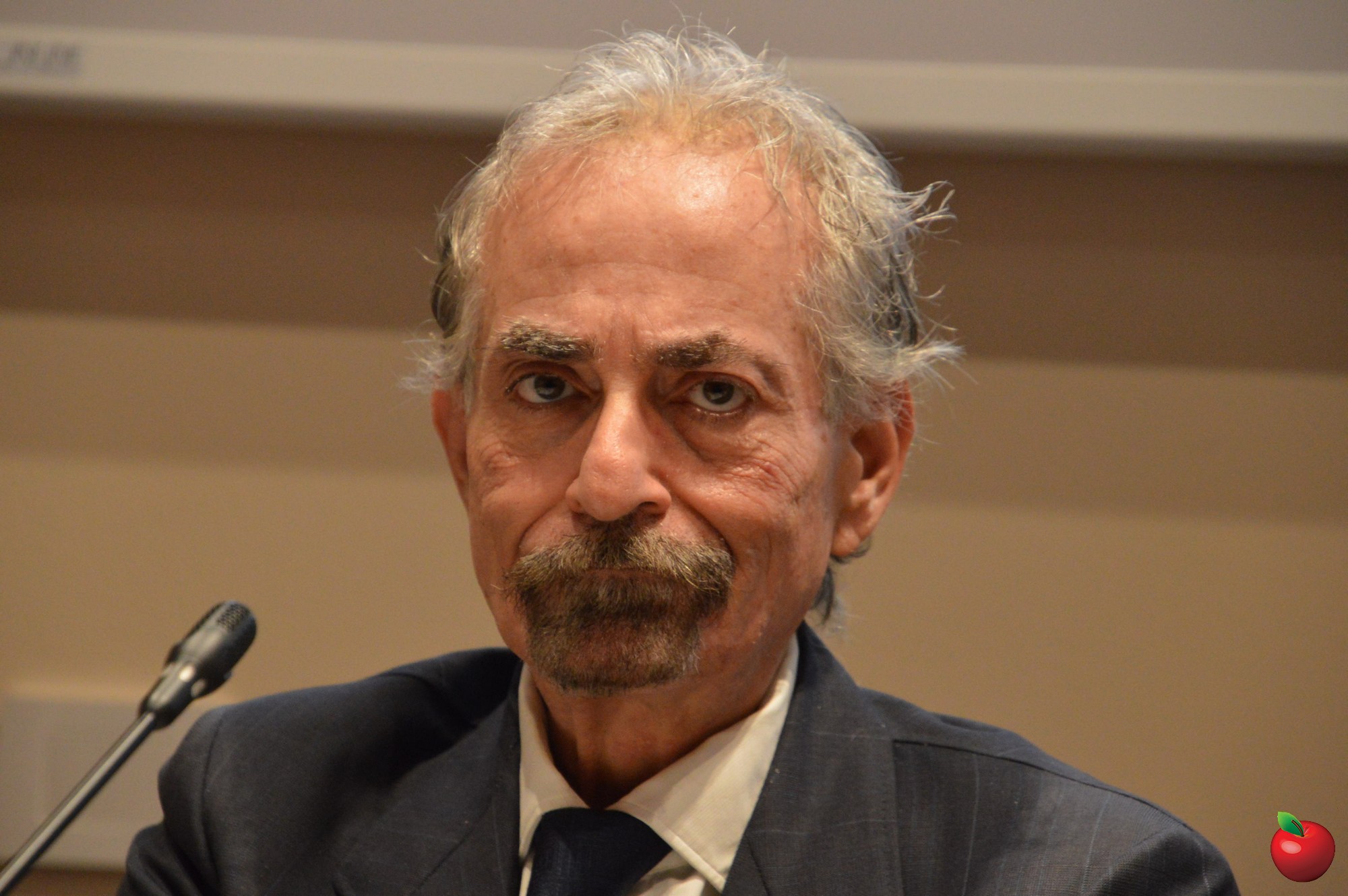 11_Fiorenzo_Radogna.jpg (453 KB)