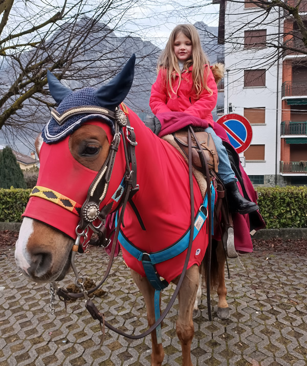 IMG_20260118_100330.jpg (250 KB)