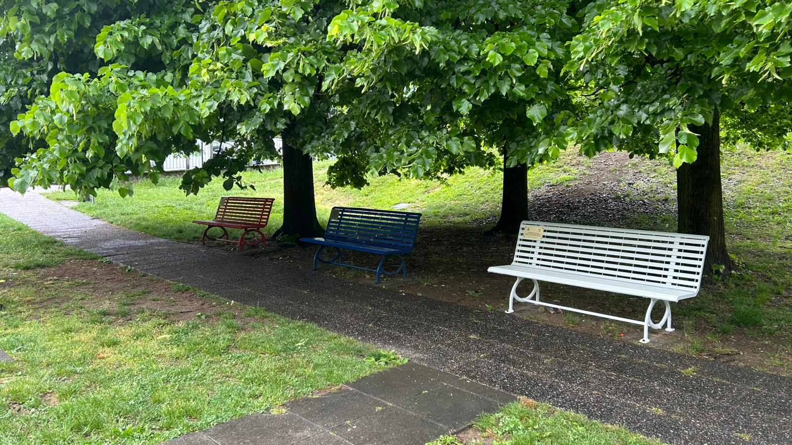 panchinabianca3.jpg (387 KB)