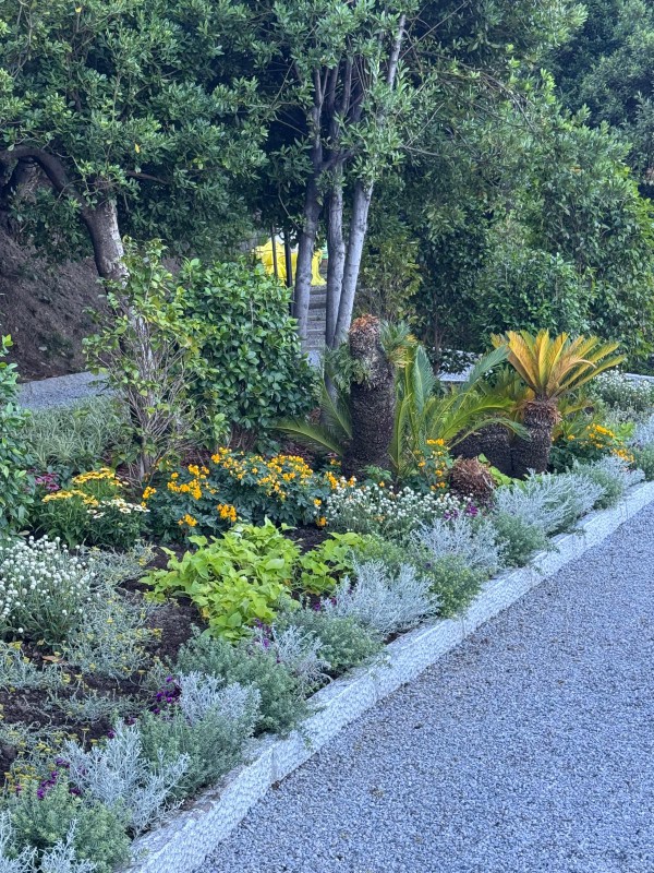 villa_monastero_giardino_botanico__18_.jpg (243 KB)