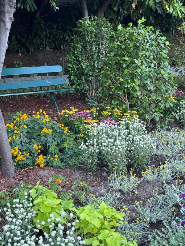 villa_monastero_giardino_botanico__1_.jpg (229 KB)