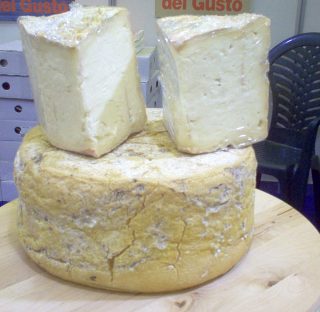 Immagini storia taleggio 10