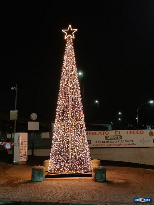 albero la piccola 3