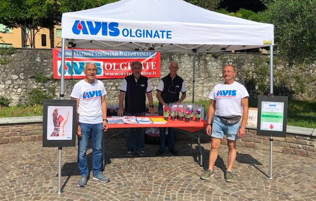 olginate avis medie  11 